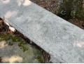 Handsome Concrete Bench