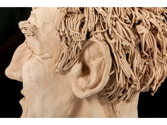 Slip Clay Cutaway Head Sculpture