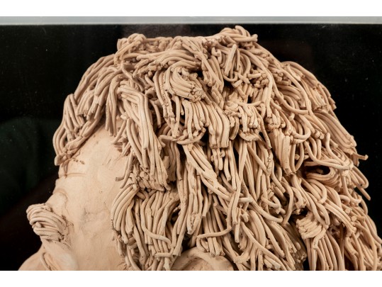 Slip Clay Cutaway Head Sculpture