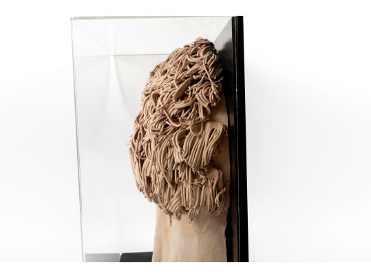 Slip Clay Cutaway Head Sculpture