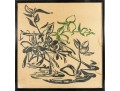 Oil On Rice Paper Belize City Plants Framed Art