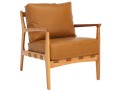 Danisia Accent Chair