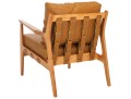 Danisia Accent Chair