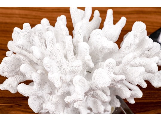 Trio Of Sculptural Tabletop Decor