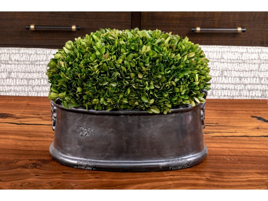 Revelation By Uttermost Preserved Boxwood Dome Centerpiece