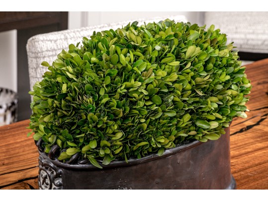 Revelation By Uttermost Preserved Boxwood Dome Centerpiece