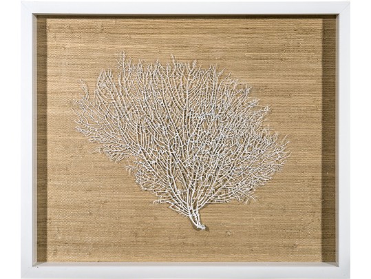 Framed White Sea Fan Wall Art