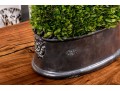 Revelation By Uttermost Preserved Boxwood Dome Centerpiece