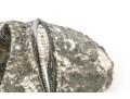 Orthoceras Nautilus Fossil 