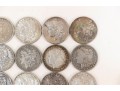 Fifteen Morgan Silver Dollars (1881 - 1901)