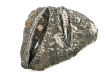 Black Rock Galleries