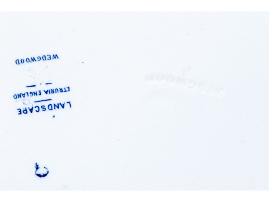 English Blue And White Transferware Ceramic Lot