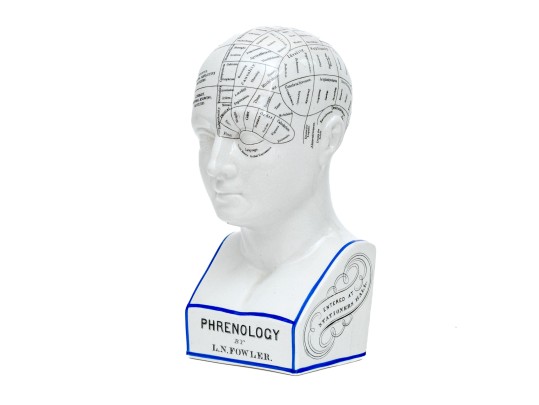 Vintage Fowler Phrenology Head