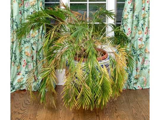 Large Blue And White Asian Porcelain Koi Jardiniere On Wood Stand