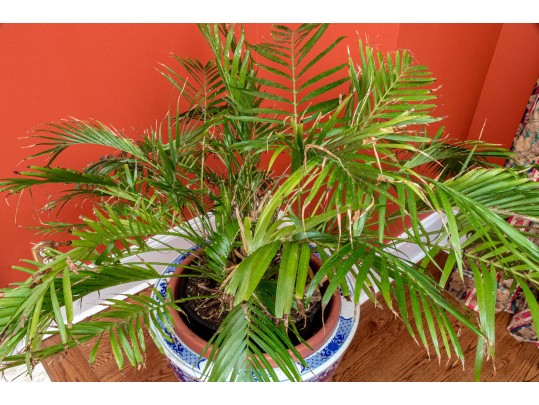 Large Blue And White Asian Porcelain Koi Jardiniere On Wood Stand