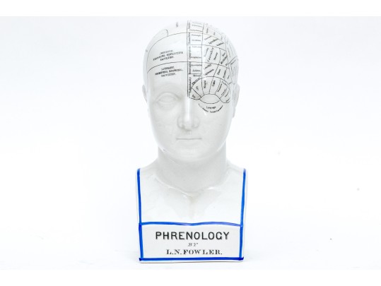 Vintage Fowler Phrenology Head