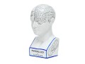 Vintage Fowler Phrenology Head