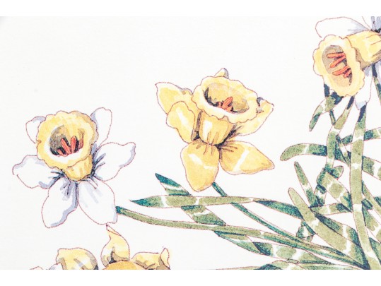 Dennis Kyte (American, B. 1948) Botanical Footwear Prints