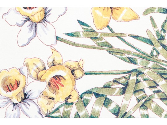 Dennis Kyte (American, B. 1948) Botanical Footwear Prints