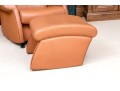 De Sede Swiss Leather Reclining Armchair With Ottoman