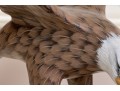 Artisanal Carved And Painted Wood And Stone Sculpture Of An Eagle