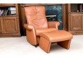 De Sede Swiss Leather Reclining Armchair With Ottoman