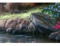 Thomas Kinkade (American [CA], 1958-2012) 