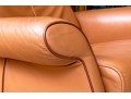 De Sede Swiss Leather Reclining Armchair With Ottoman