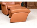 De Sede Swiss Leather Reclining Armchair With Ottoman