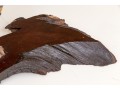 Artisanal Carved And Painted Wood And Stone Sculpture Of An Eagle