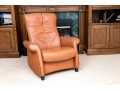De Sede Swiss Leather Reclining Armchair With Ottoman