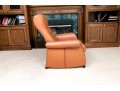 De Sede Swiss Leather Reclining Armchair With Ottoman