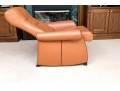 De Sede Swiss Leather Reclining Armchair With Ottoman