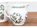 Portmeirion Botanic Garden China