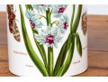 Portmeirion Botanic Garden China