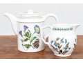 Portmeirion Botanic Garden China