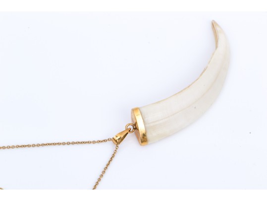 18k Yellow Gold Striking Tooth/horn Pendant, With A Curb Link Yellow Gold Chain