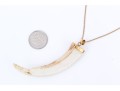 18k Yellow Gold Striking Tooth/horn Pendant, With A Curb Link Yellow Gold Chain