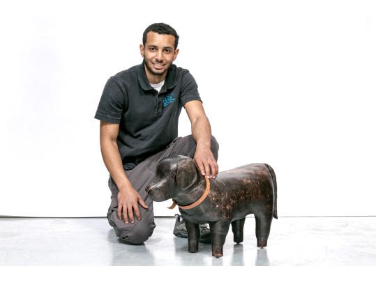 Playful Leather Upholstered Dog Figure