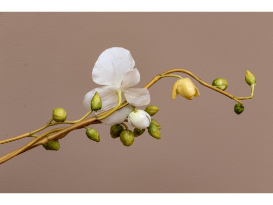 Large Potted Faux Orchid