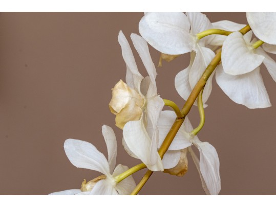 Large Potted Faux Orchid