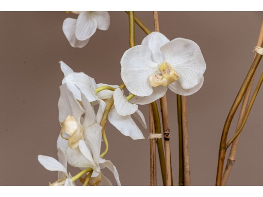 Large Potted Faux Orchid