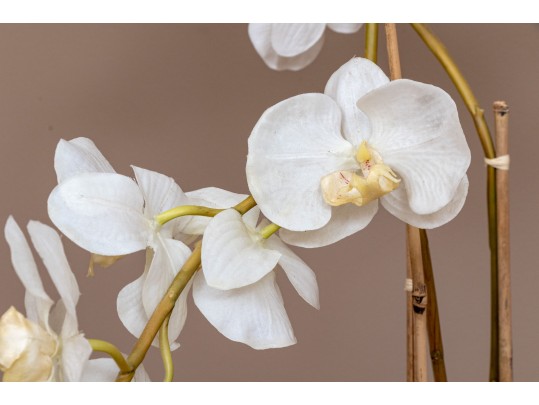 Large Potted Faux Orchid