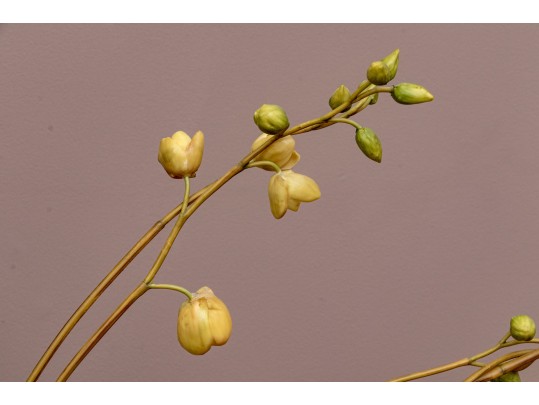 Large Potted Faux Orchid