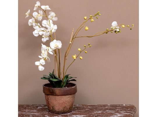 Large Potted Faux Orchid