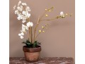 Large Potted Faux Orchid
