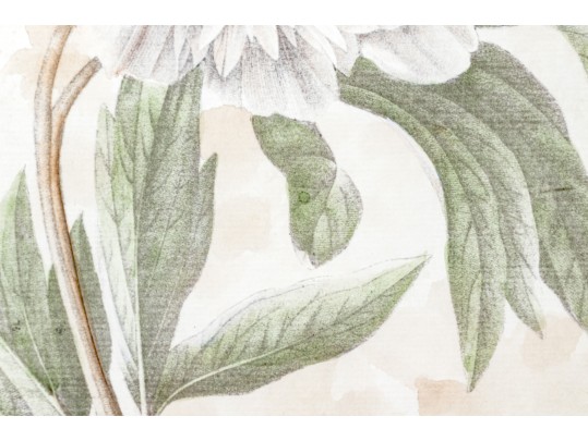 Pair Of Beautiful Botanical Peony Prints After Pierre Joseph Redoute