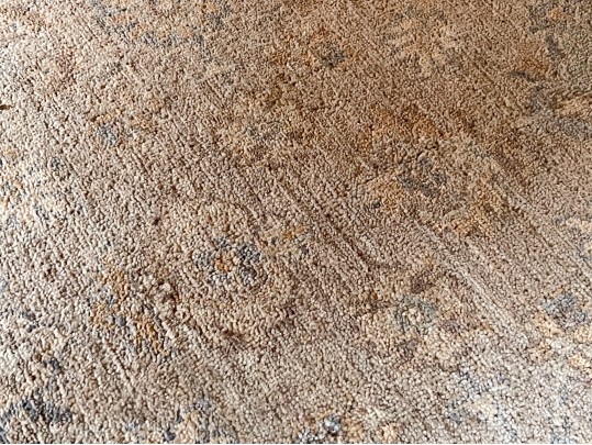 Hand Knotted Wool Carpet, 12'-1