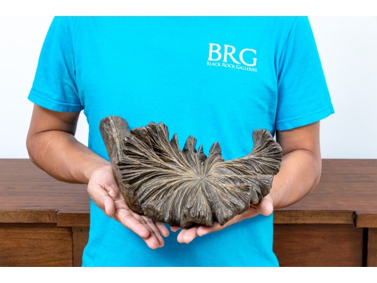 Decorative Naturalistic Volcano Flower Sculpture