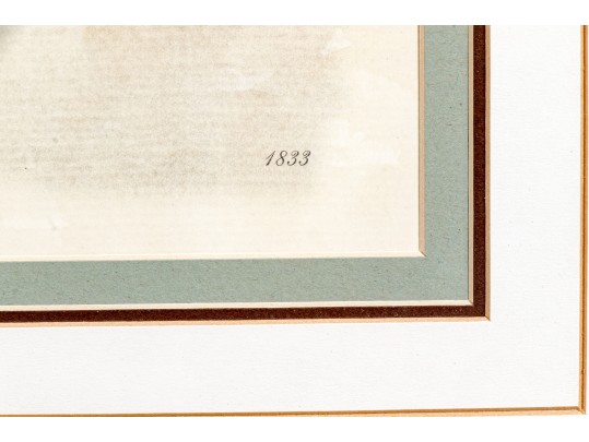 Pair Of Beautiful Botanical Peony Prints After Pierre Joseph Redoute